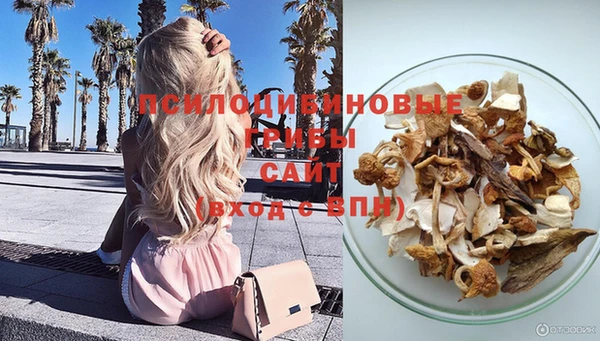 каннабис Карпинск